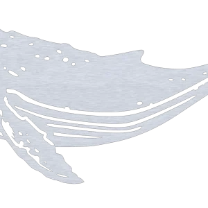 Aluminum cut-out of a humpback whale featuring detailed skin, ridged underbelly, and distinct flippers. The whale curves with a detailed tail fin, silver metal brushed finish on a black background.